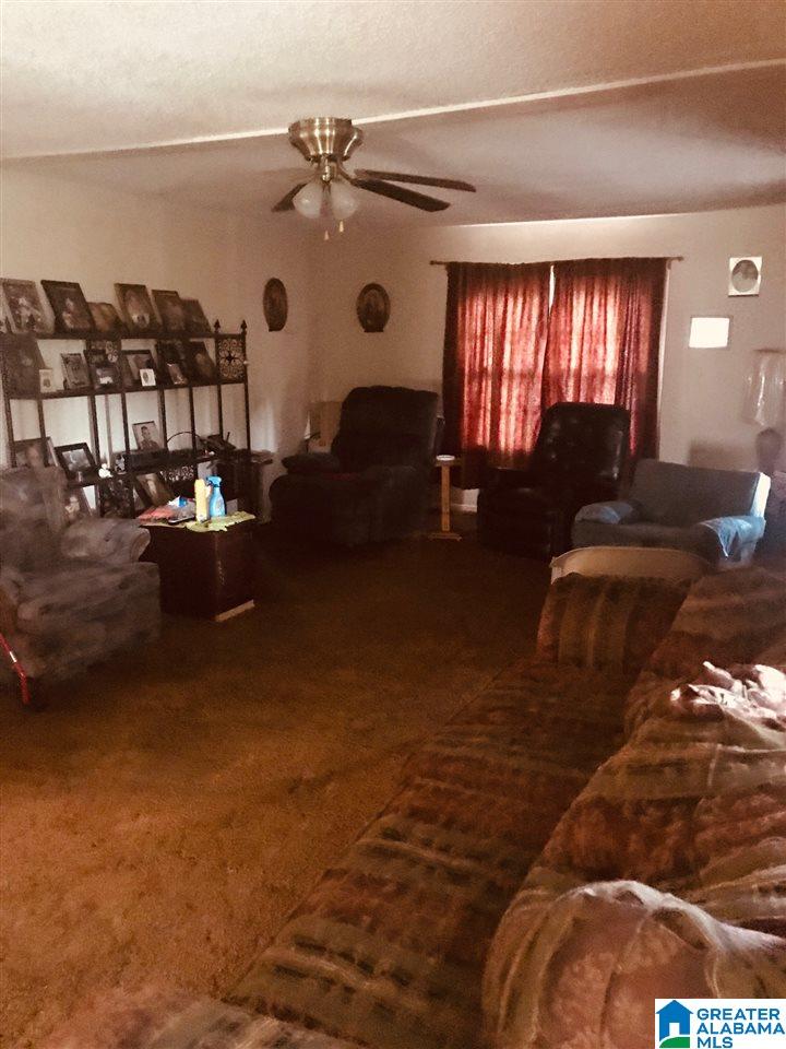 5367 Hollis Goodwin Road Dora, AL 35062 - Photo 2 of 19