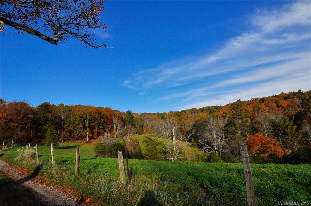 39 Wright Farm Road Candler, NC 28715 - Photo 23 of 24 Gallery Image 23