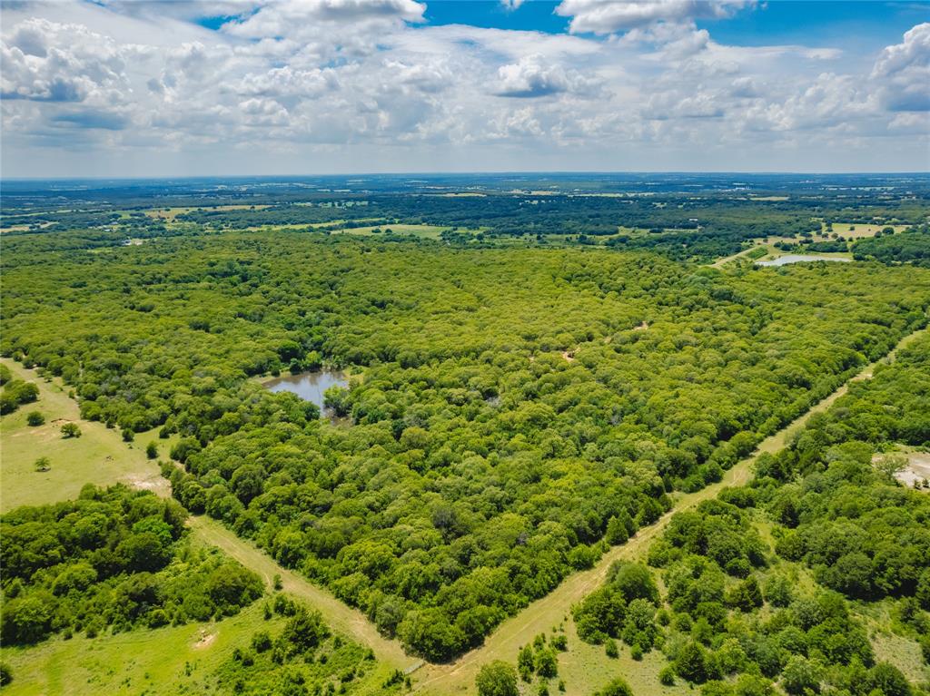2197 Netherly Lane Forestburg, TX 76239 - Photo 35 of 40 a view of a field with an ocean