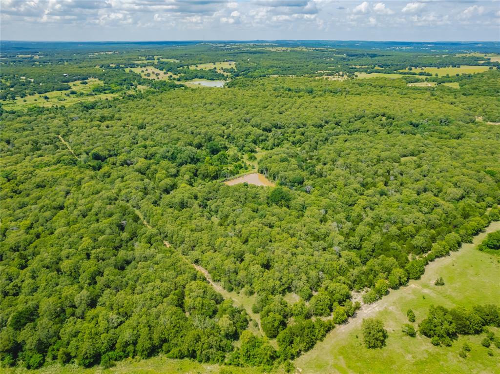 2197 Netherly Lane Forestburg, TX 76239 - Photo 37 of 40 a view of a big yard with lots of green space