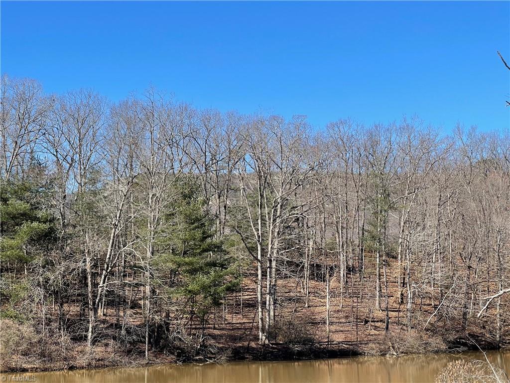 9.5-acres Doc Sams Road King, NC 27021 - Photo 10 of 13 Gallery Image 10