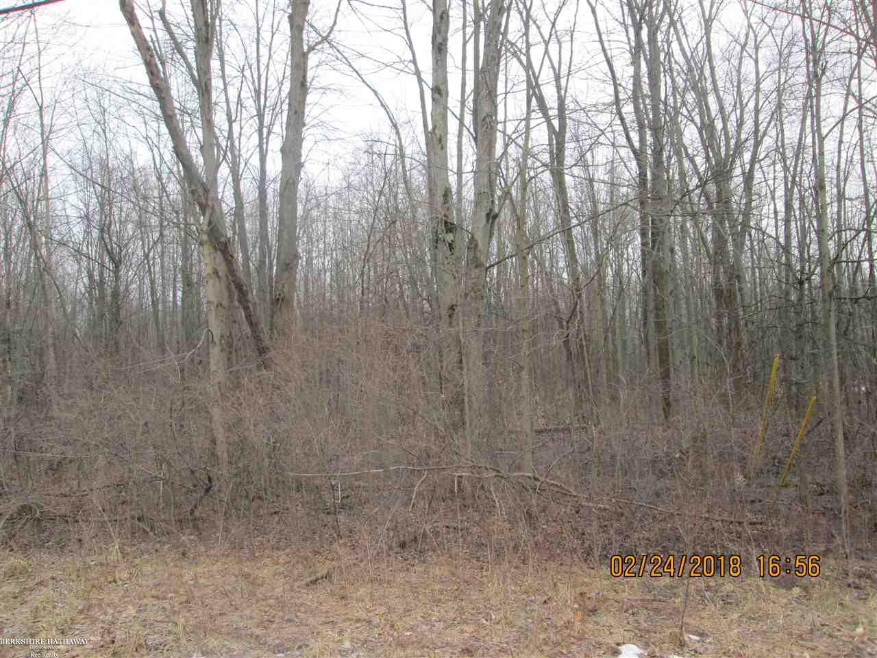 0 Lindsey Road Casco, MI 48064 - Photo 5 of 7