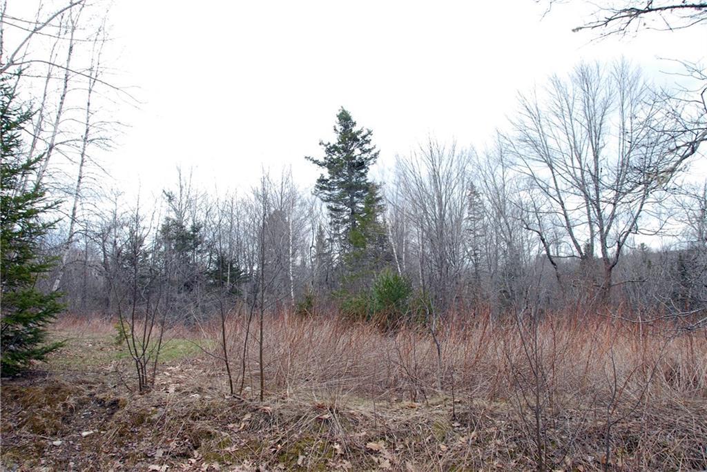 0 Cedar Swamp Road Orland, ME 04472 - Photo 6 of 24 Photo