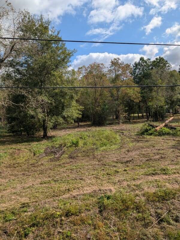 15577 East Relza Drive Splendora, TX 77372 - Photo 16 of 17 a view of a yard