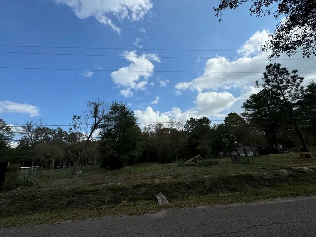 a view of a yard with large trees