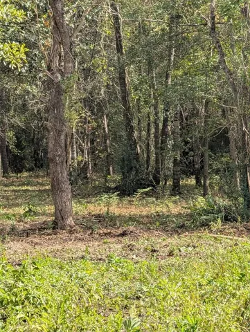 a view of a yard with wooden fence