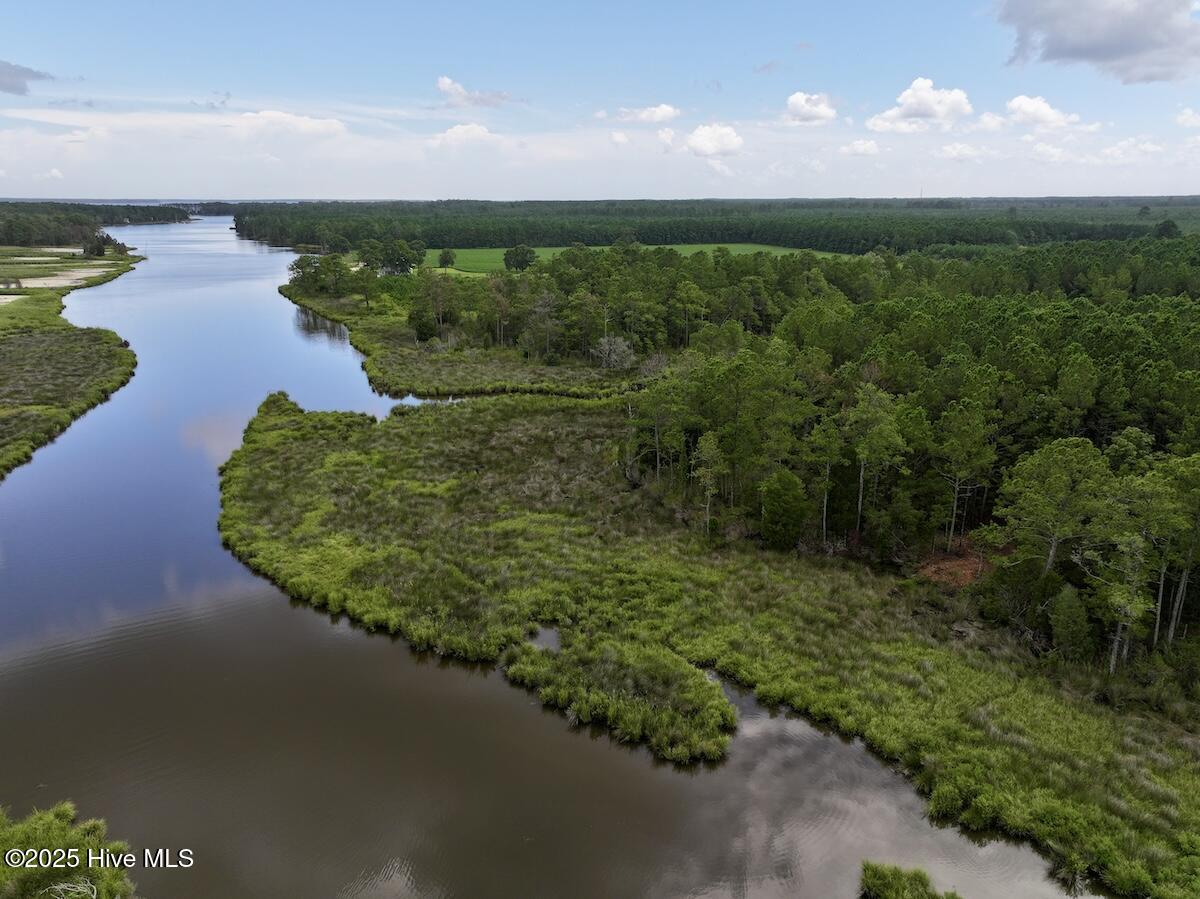 337 Pamlico Beach Road Belhaven, NC 27810 - Photo 1 of 38 2