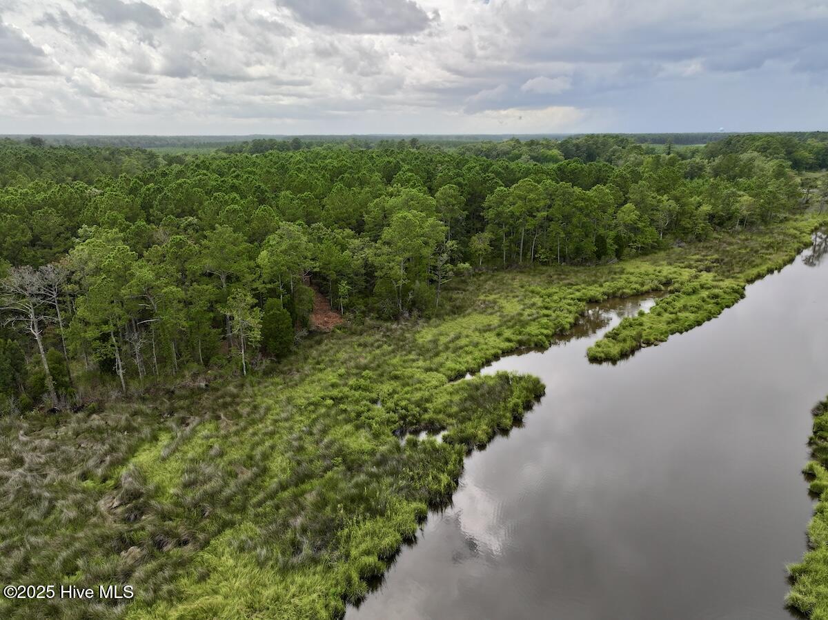 337 Pamlico Beach Road Belhaven, NC 27810 - Photo 11 of 38 11