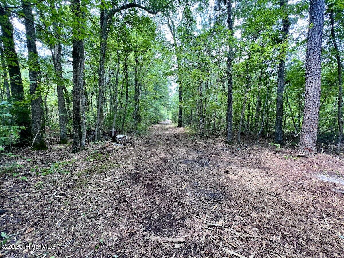 337 Pamlico Beach Road Belhaven, NC 27810 - Photo 12 of 38 12