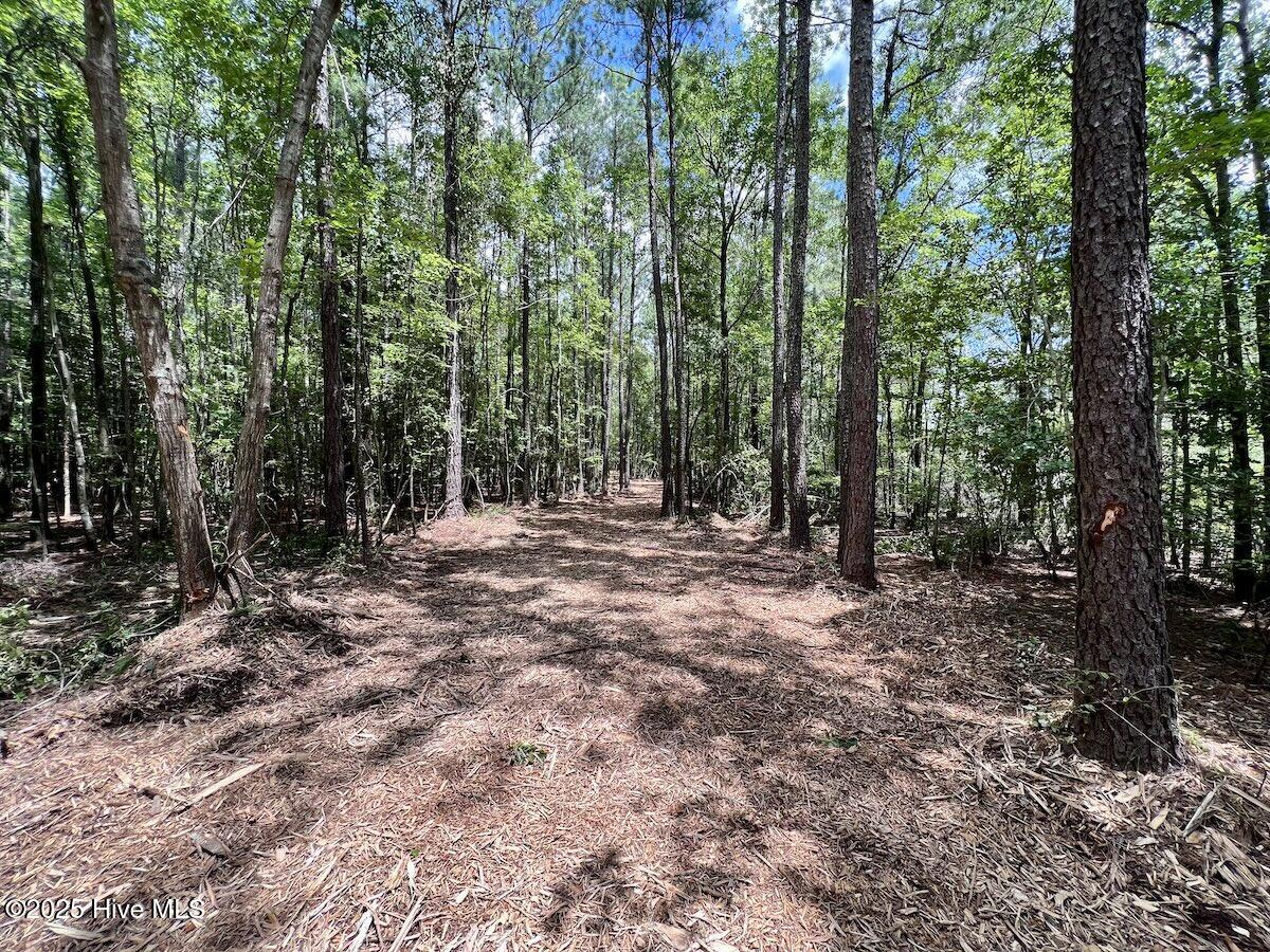 337 Pamlico Beach Road Belhaven, NC 27810 - Photo 13 of 38 13