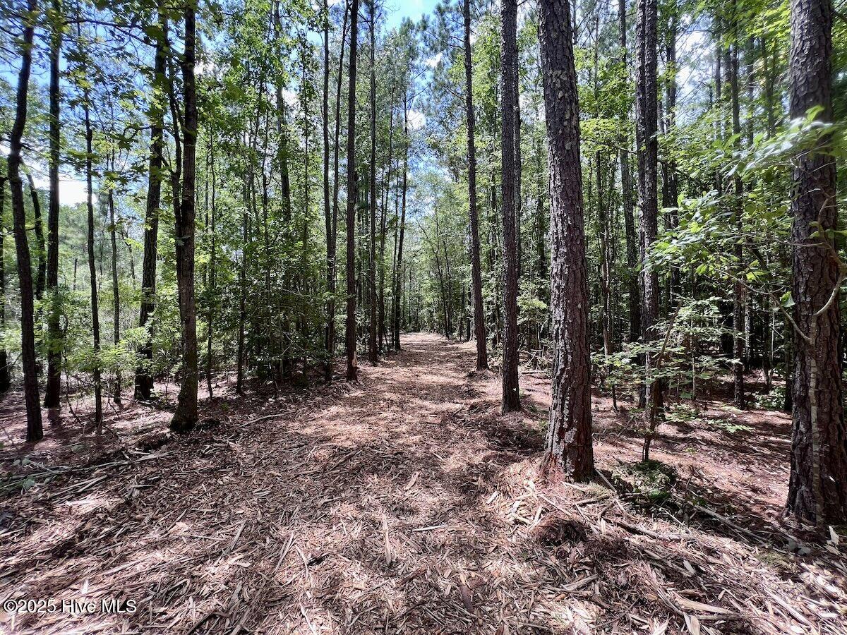 337 Pamlico Beach Road Belhaven, NC 27810 - Photo 14 of 38 14