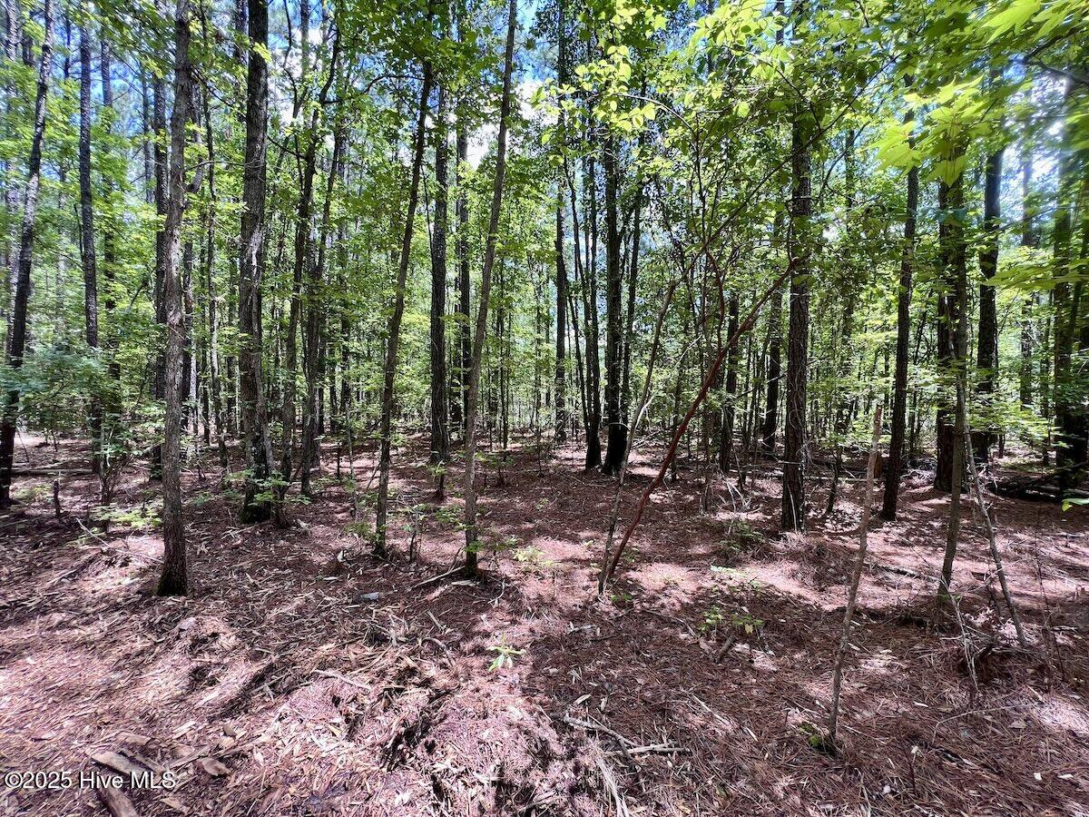 337 Pamlico Beach Road Belhaven, NC 27810 - Photo 15 of 38 15