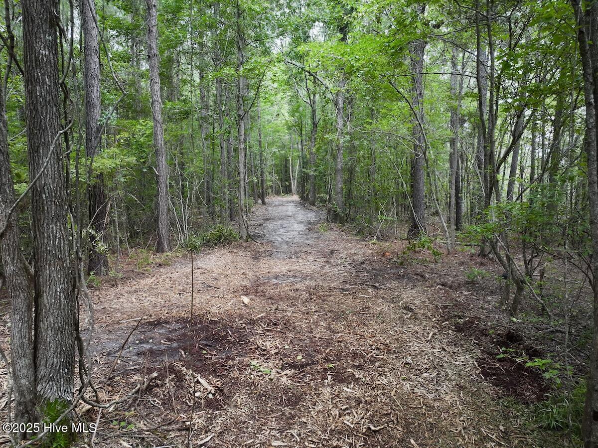 337 Pamlico Beach Road Belhaven, NC 27810 - Photo 17 of 38 17