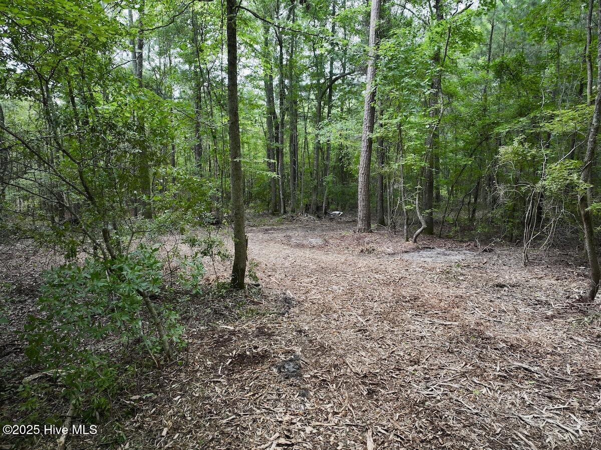 337 Pamlico Beach Road Belhaven, NC 27810 - Photo 18 of 38 18