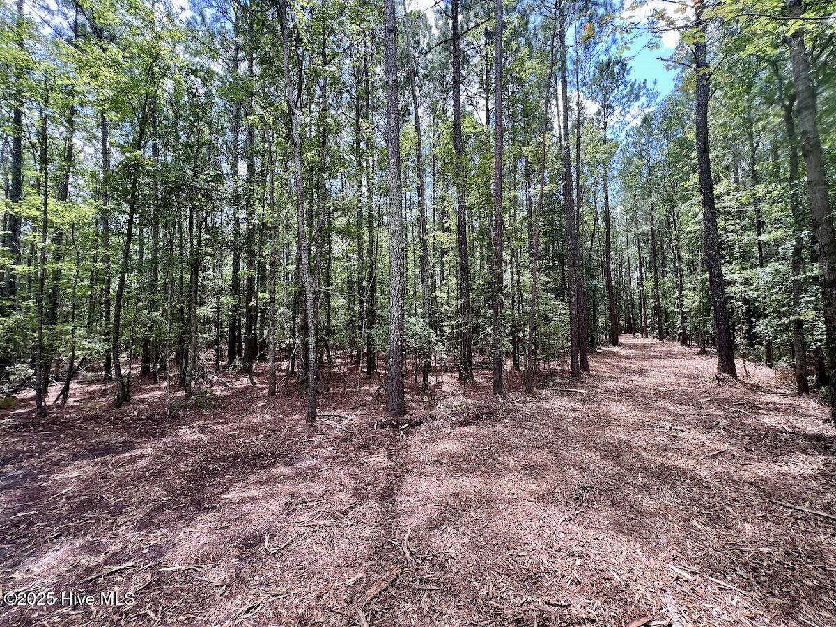 337 Pamlico Beach Road Belhaven, NC 27810 - Photo 19 of 38 19