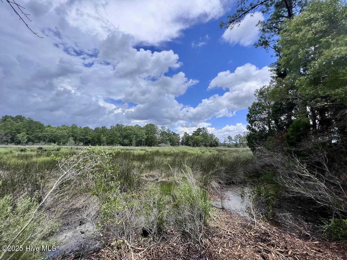 337 Pamlico Beach Road Belhaven, NC 27810 - Photo 20 of 38 20