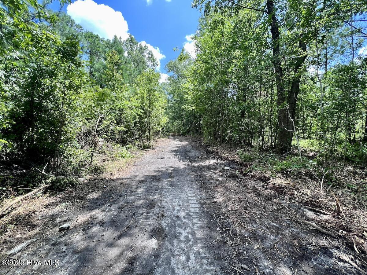 337 Pamlico Beach Road Belhaven, NC 27810 - Photo 22 of 38 22