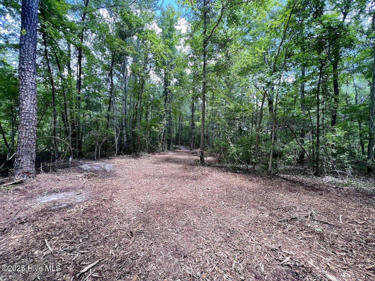 337 Pamlico Beach Road Belhaven, NC 27810 - Photo 23 of 38 23