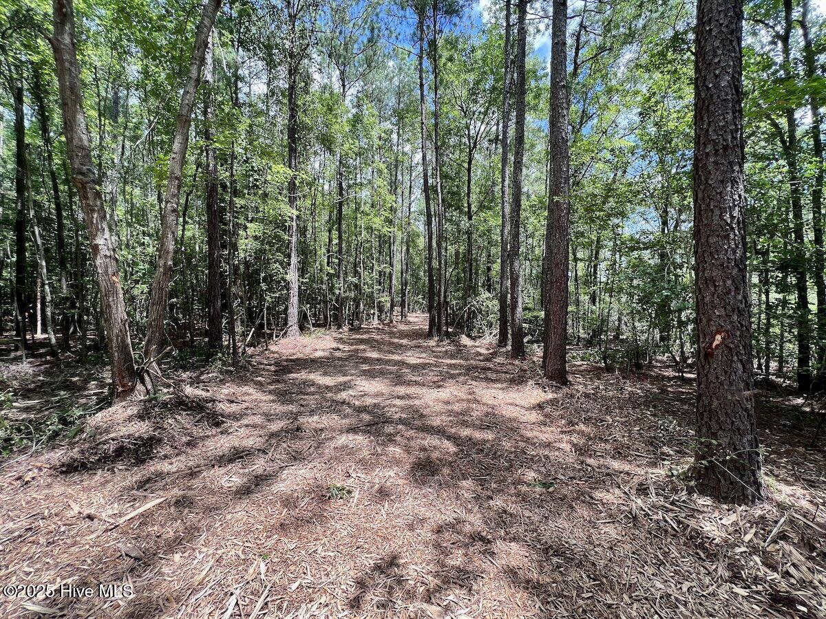 337 Pamlico Beach Road Belhaven, NC 27810 - Photo 24 of 38 24