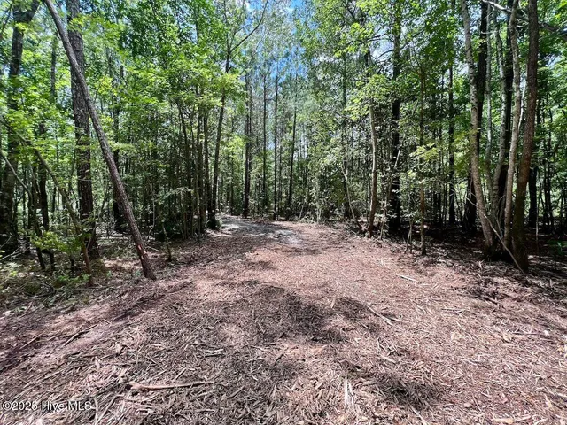 $69,900 | 337 Pamlico Beach Road, Belhaven, NC 27810