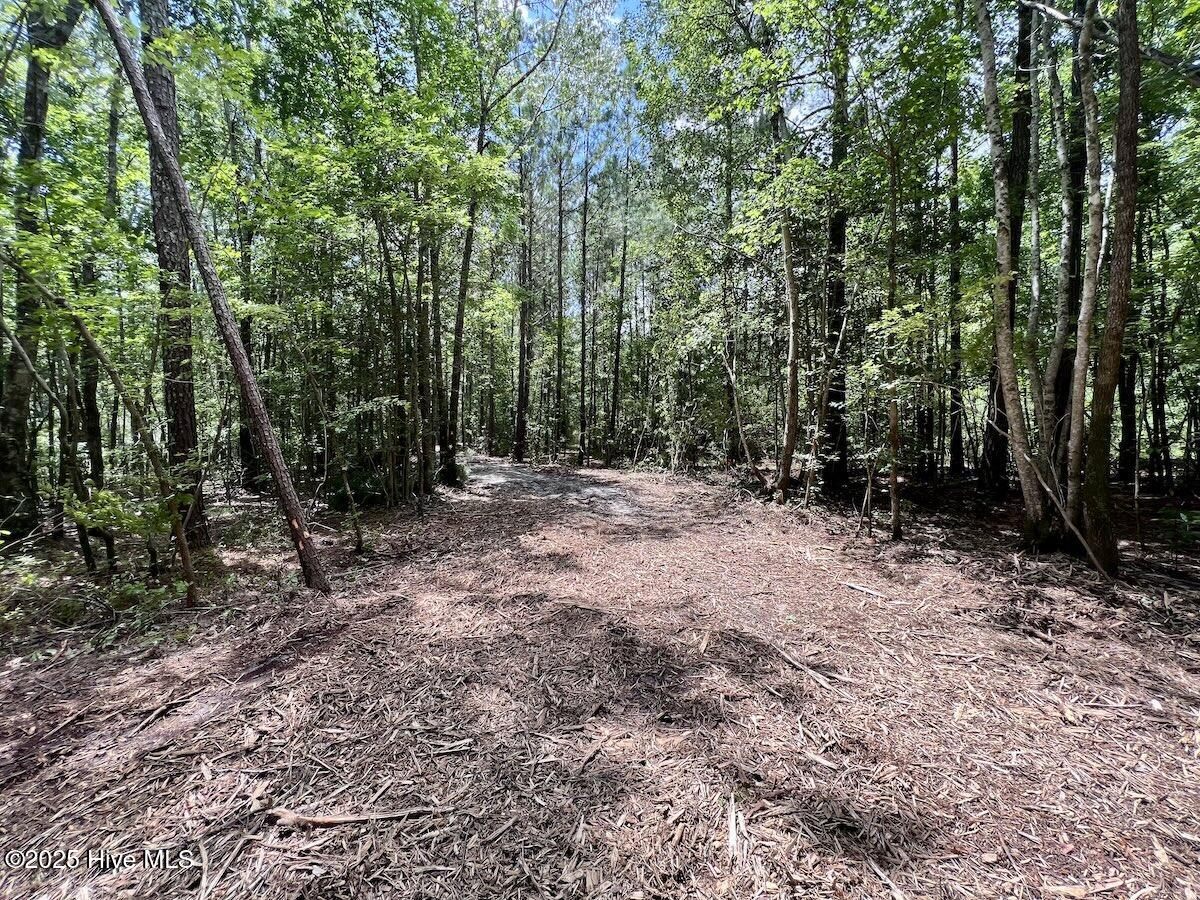 337 Pamlico Beach Road Belhaven, NC 27810 - Photo 25 of 38 25