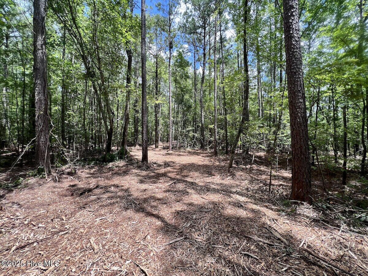 337 Pamlico Beach Road Belhaven, NC 27810 - Photo 26 of 38 26