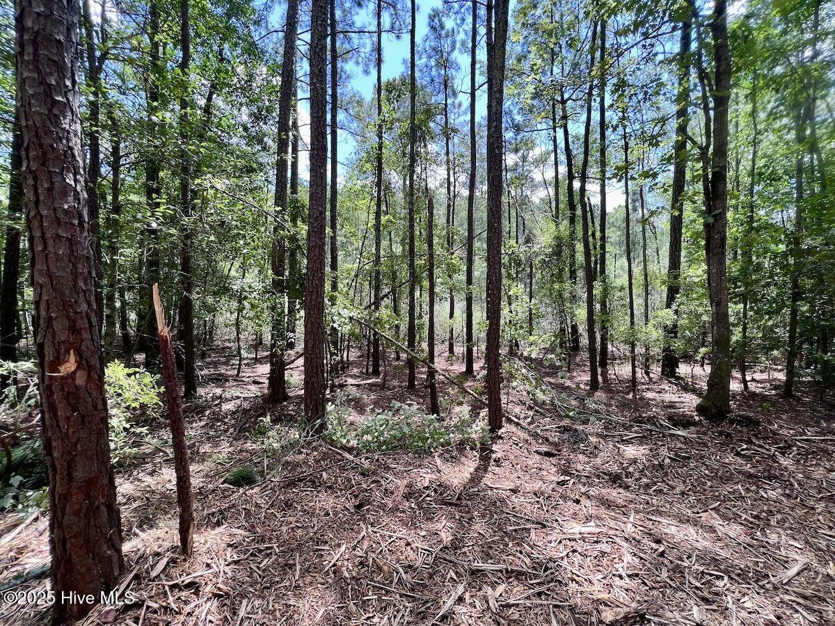 337 Pamlico Beach Road Belhaven, NC 27810 - Photo 27 of 38 27