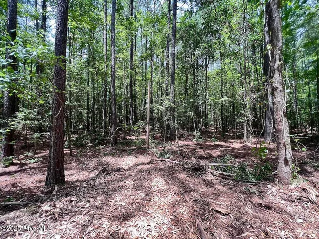 $69,900 | 337 Pamlico Beach Road, Belhaven, NC 27810