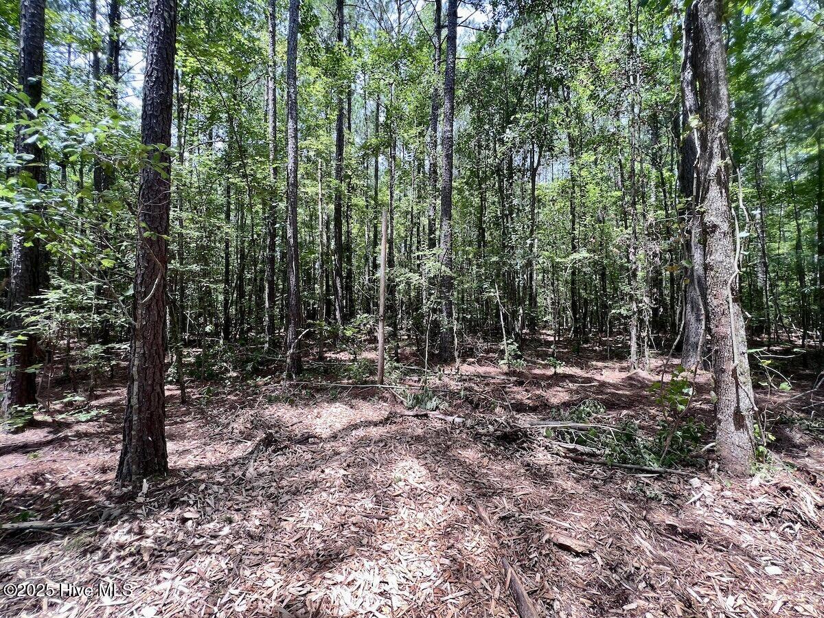337 Pamlico Beach Road Belhaven, NC 27810 - Photo 28 of 38 28