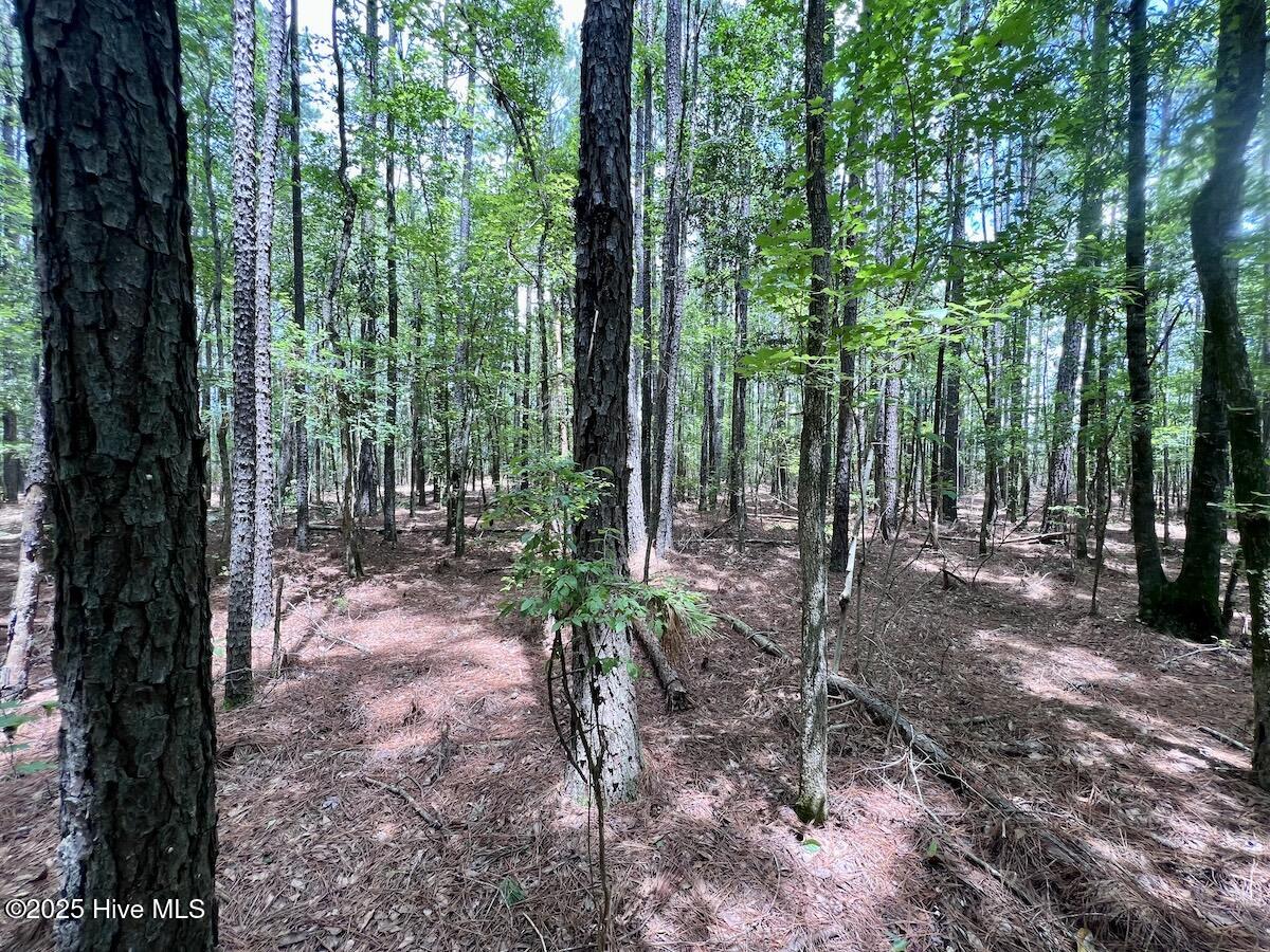 337 Pamlico Beach Road Belhaven, NC 27810 - Photo 30 of 38 30