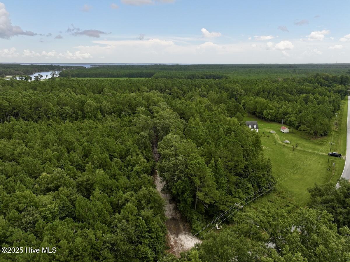 337 Pamlico Beach Road Belhaven, NC 27810 - Photo 3 of 38 3