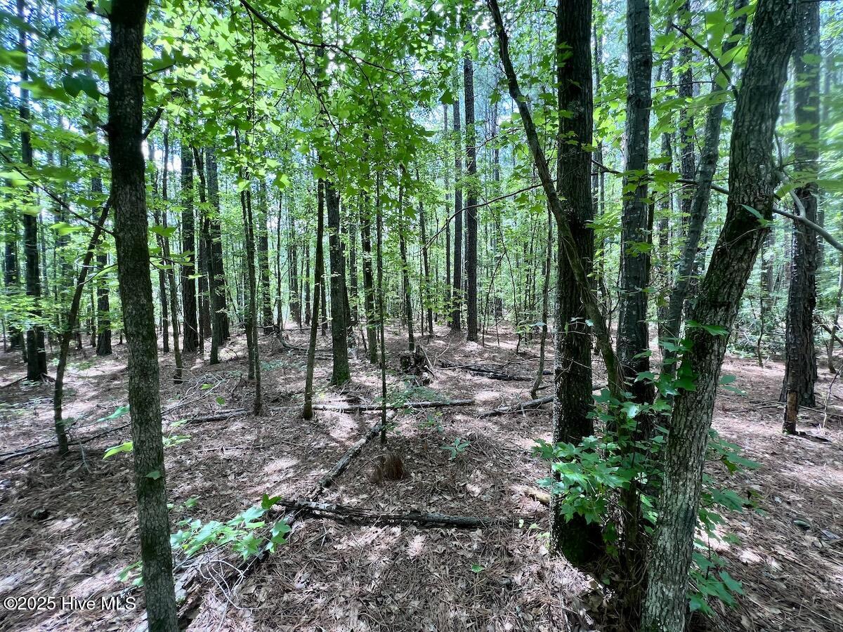 337 Pamlico Beach Road Belhaven, NC 27810 - Photo 31 of 38 31