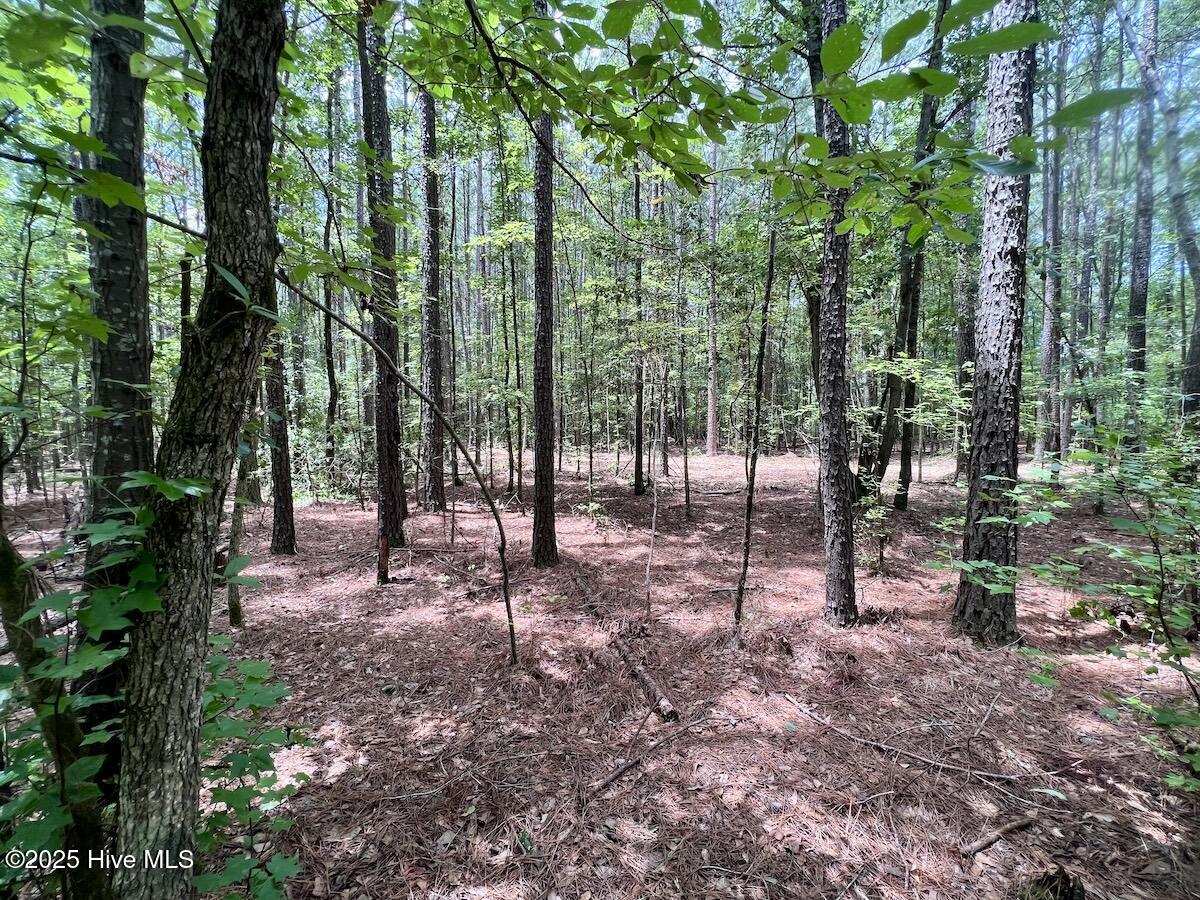 337 Pamlico Beach Road Belhaven, NC 27810 - Photo 32 of 38 32