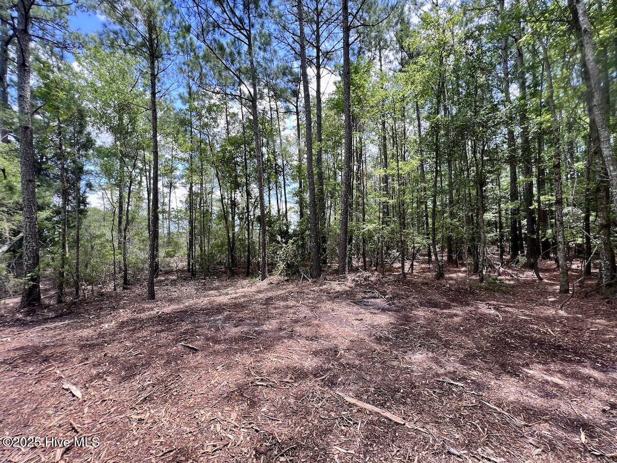 337 Pamlico Beach Road Belhaven, NC 27810 - Photo 34 of 38 34