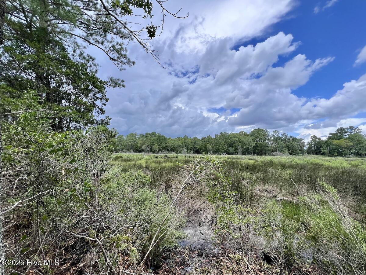 337 Pamlico Beach Road Belhaven, NC 27810 - Photo 38 of 38 38