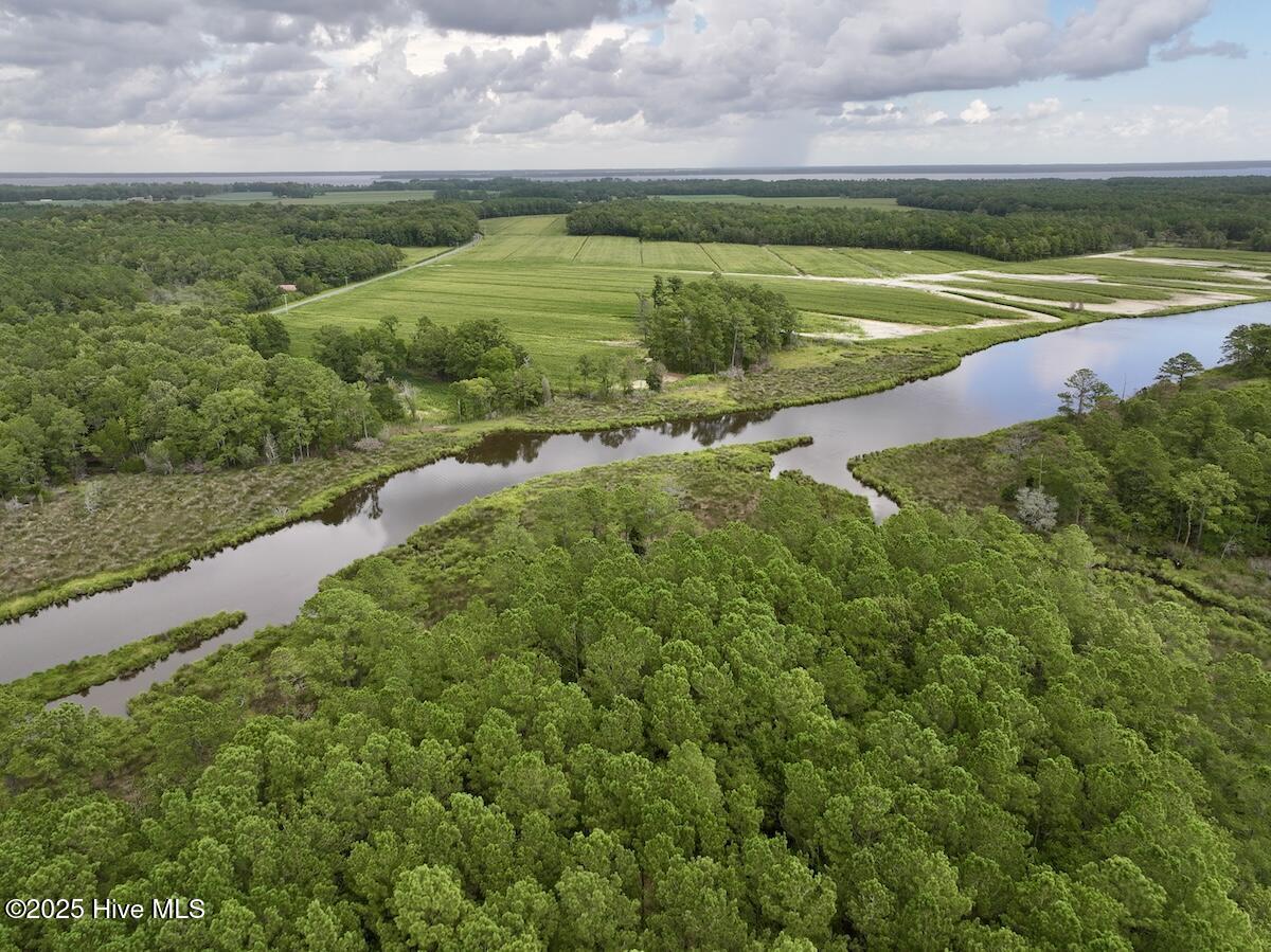 337 Pamlico Beach Road Belhaven, NC 27810 - Photo 4 of 38 4