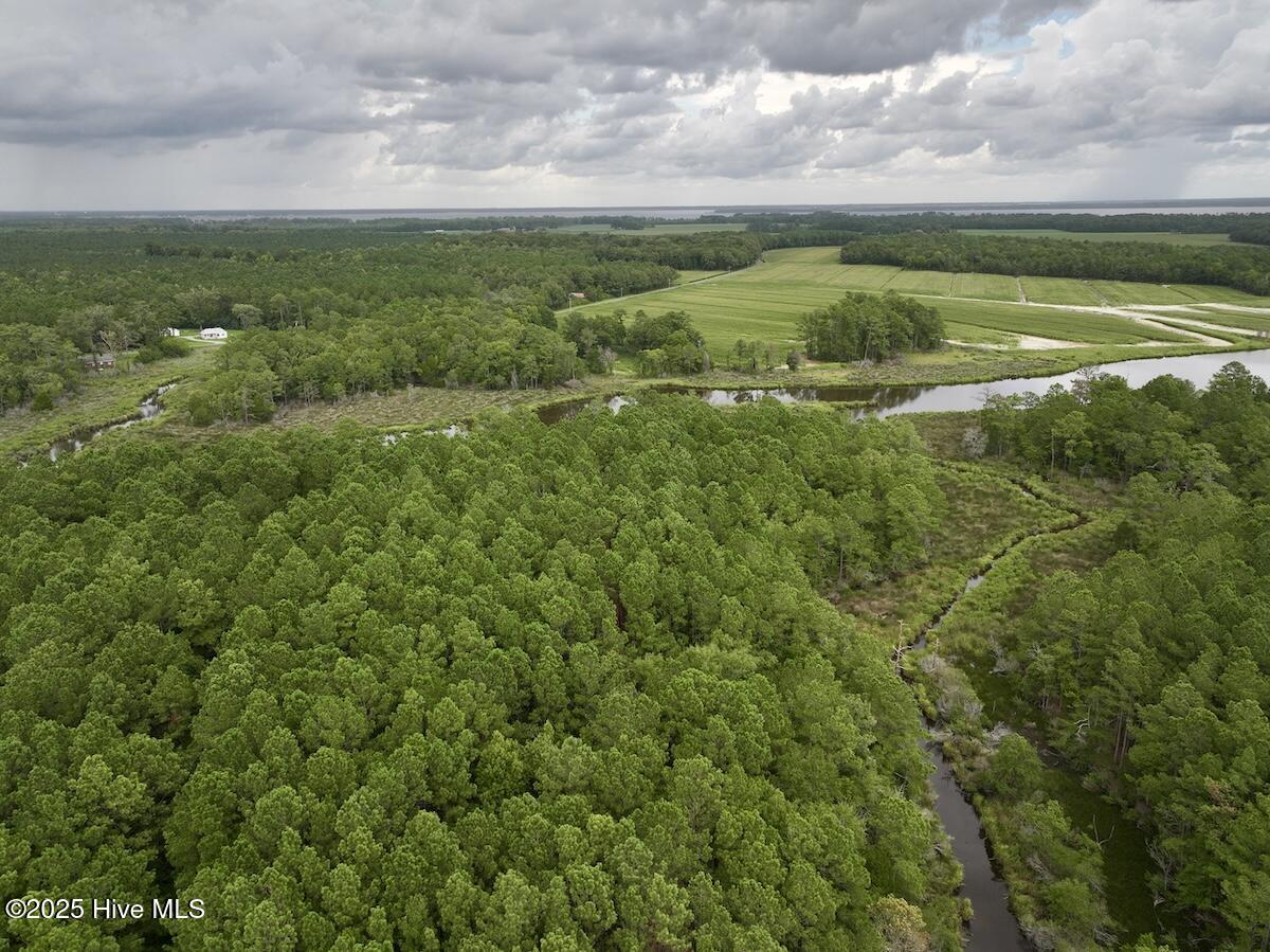 337 Pamlico Beach Road Belhaven, NC 27810 - Photo 5 of 38 5