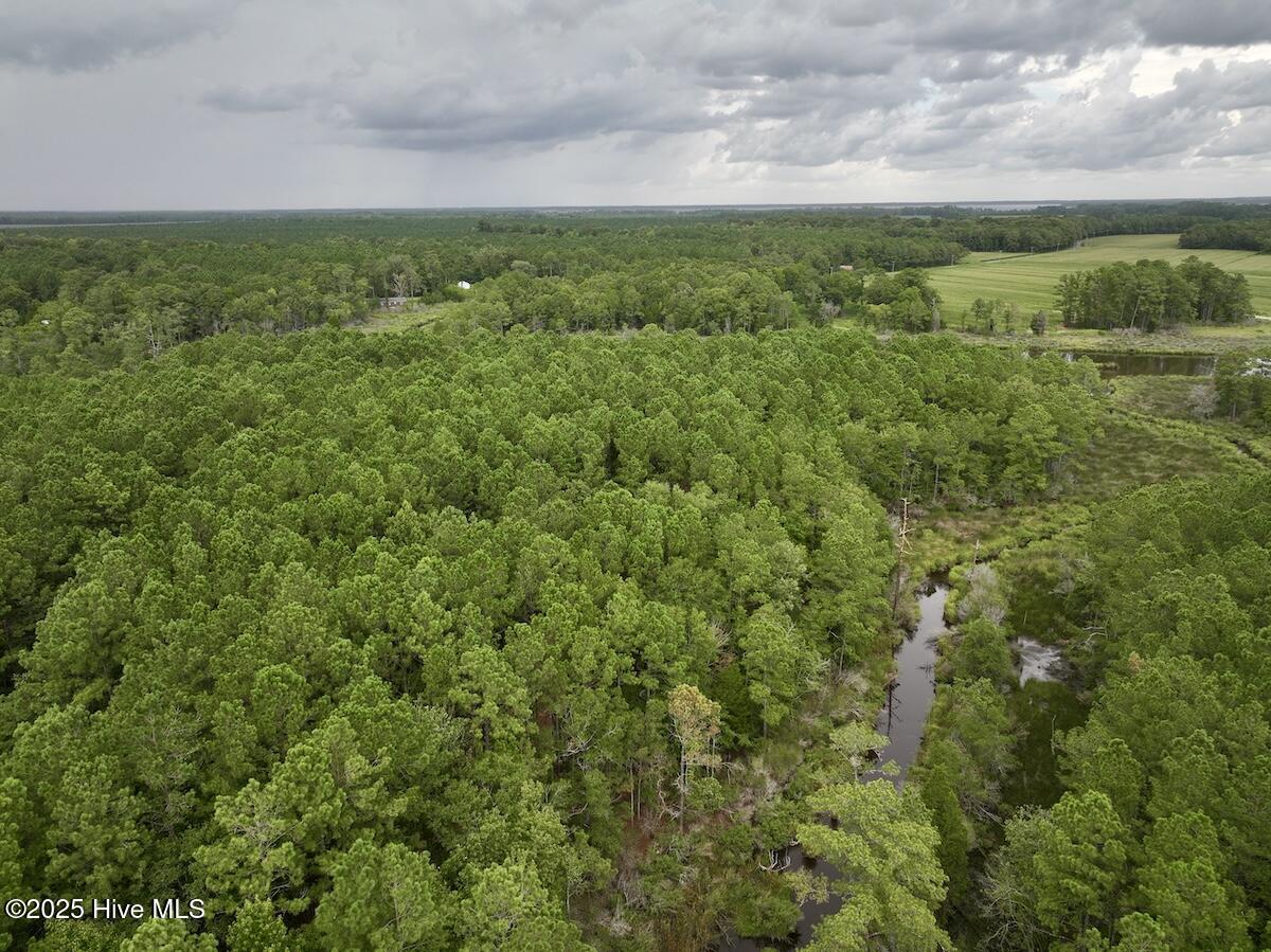 337 Pamlico Beach Road Belhaven, NC 27810 - Photo 6 of 38 6