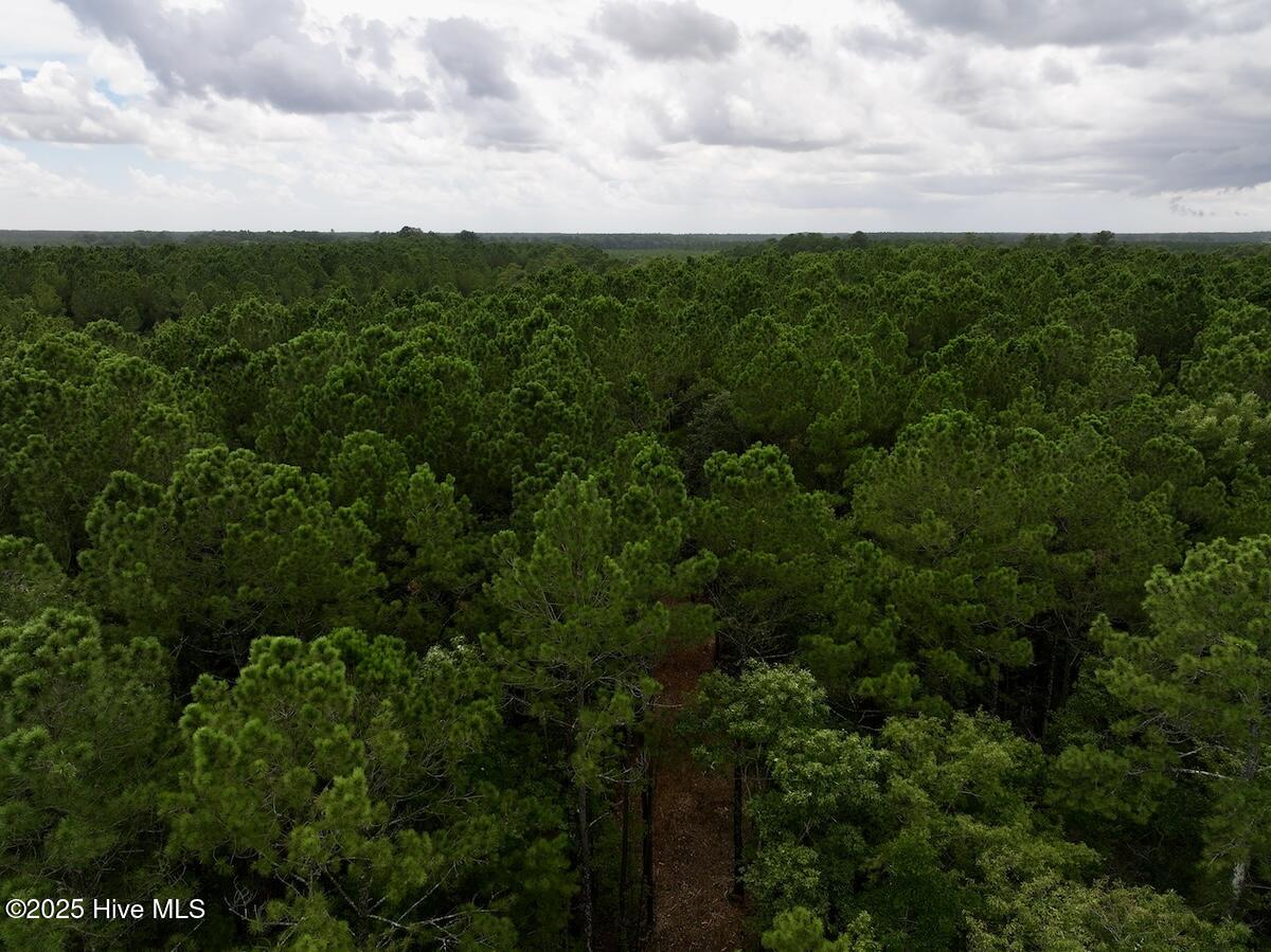 337 Pamlico Beach Road Belhaven, NC 27810 - Photo 7 of 38 7