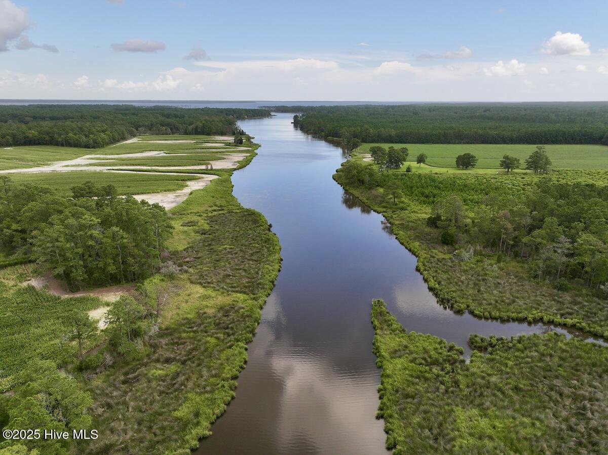 337 Pamlico Beach Road Belhaven, NC 27810 - Photo 10 of 38 10