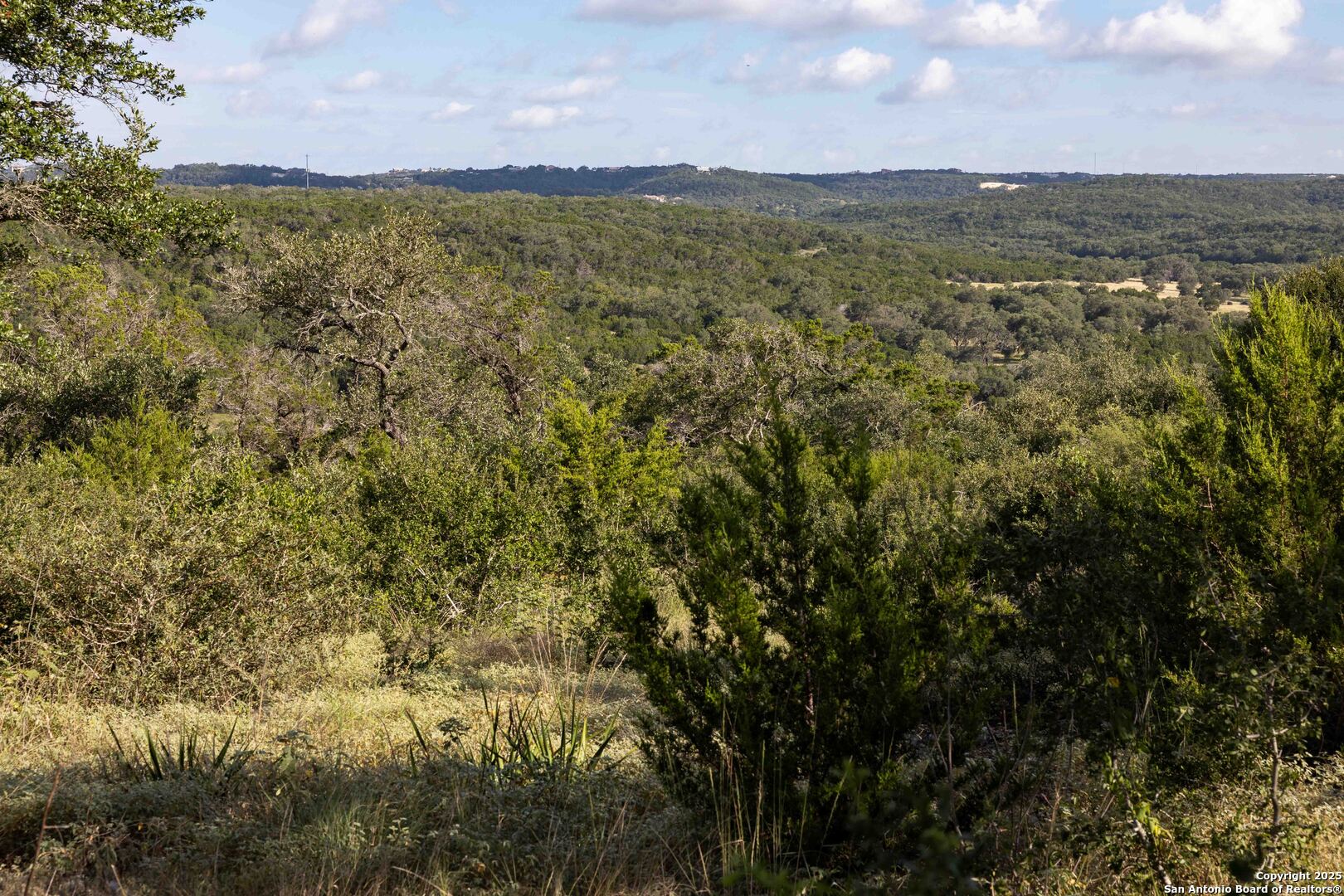 7622 Ramble Ridge San Antonio, TX 78266 - Photo 8 of 35