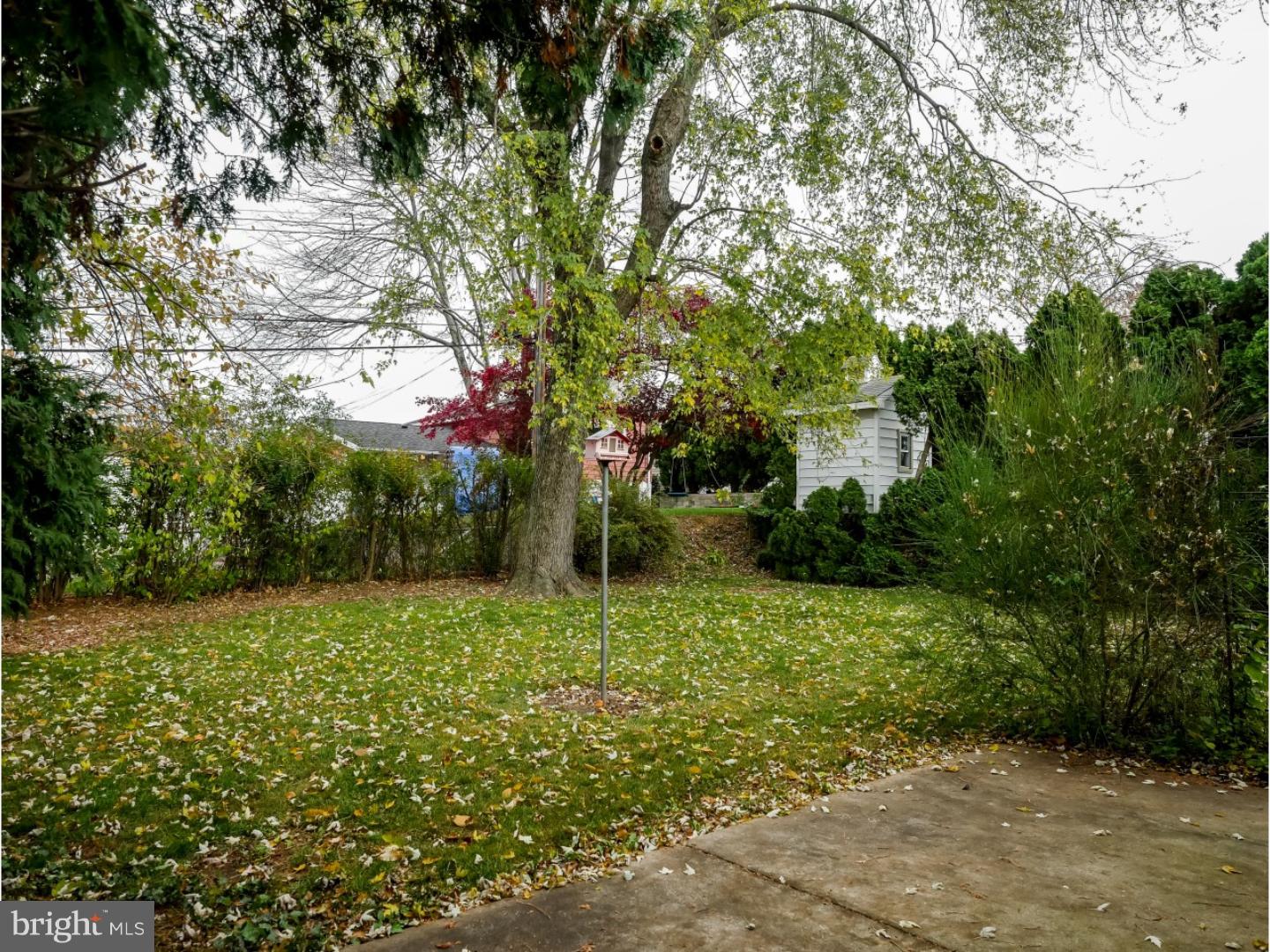 3813 Dorchester Road Philadelphia, PA 19154 - Photo 25 of 25 Back Yard