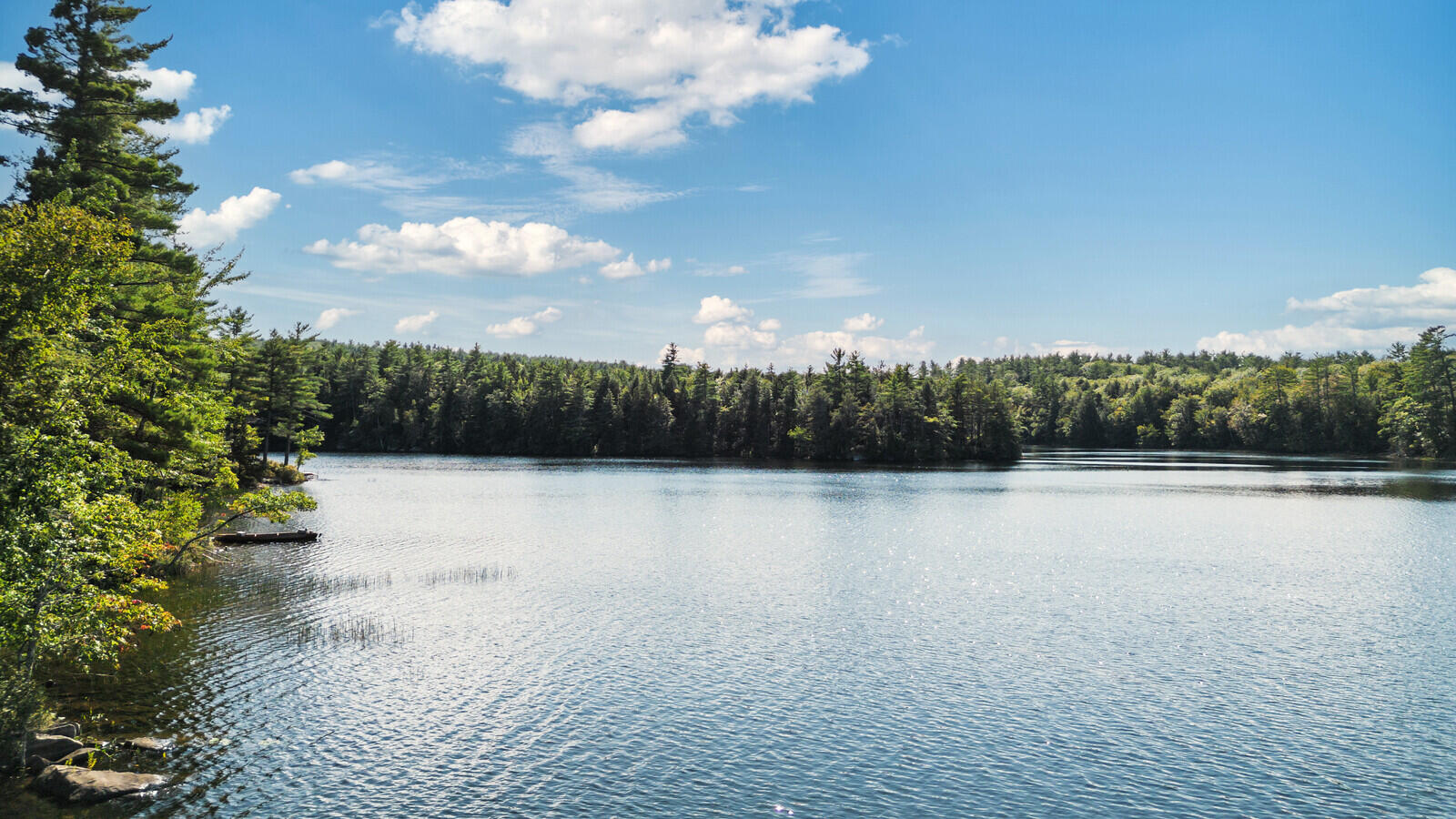 315 Shore Road Kents Hill, ME 04349 - Photo 28 of 62 58_DJI_0251_DxO_mls