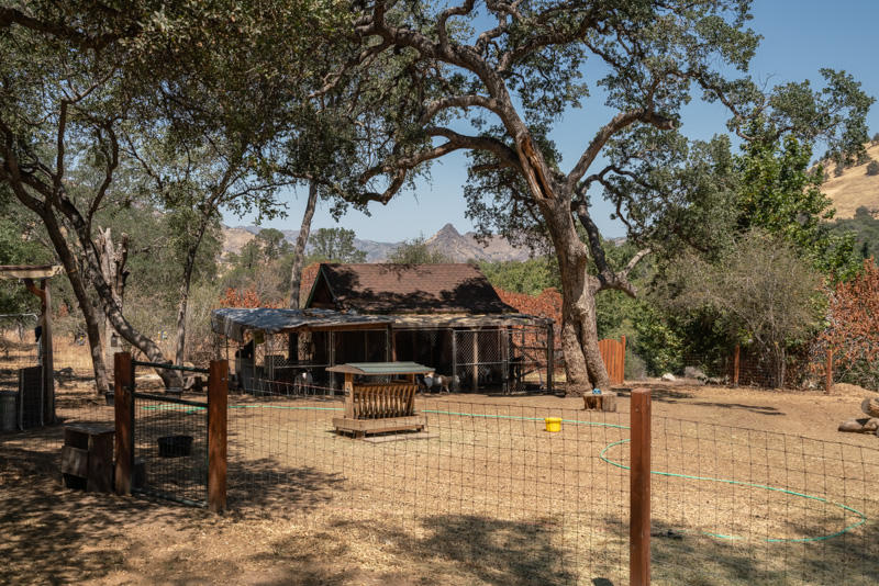 45244 South Fork Drive, Unit D Three Rivers, CA 93271 - Photo 77 of 91 45244D South Fork-86