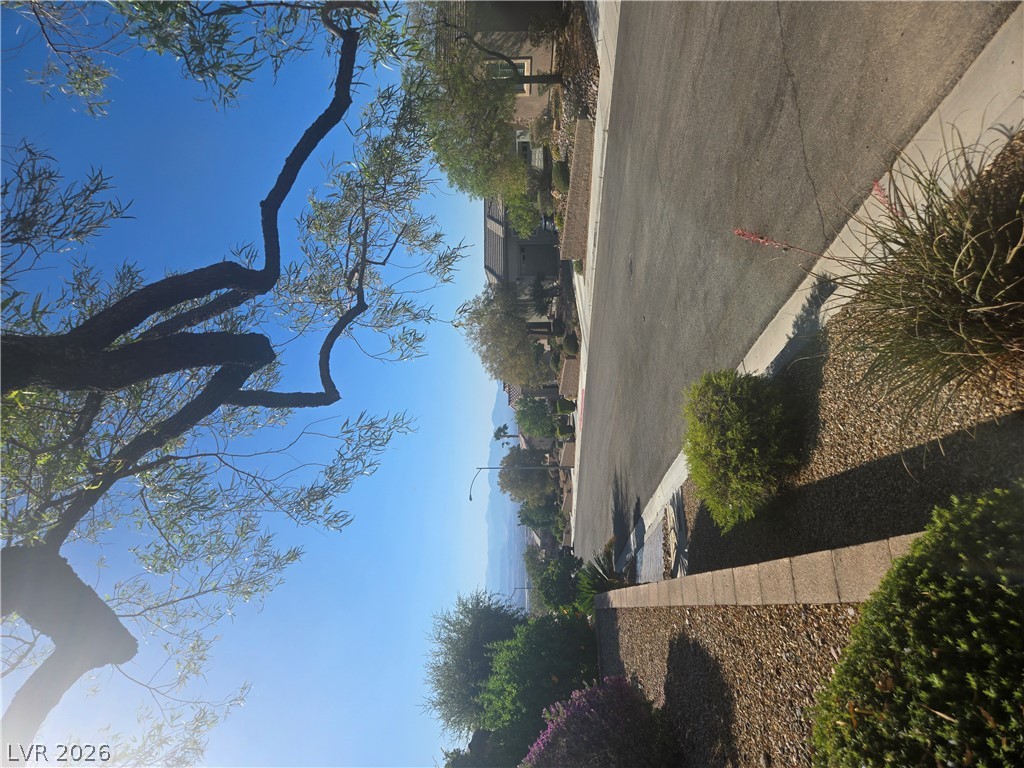 2567 Dirleton Place Henderson, NV 89044 - Photo 66 of 67 An inviting street scene unfolds with mature trees, verdant landscaping, and a distant, peaceful vista.