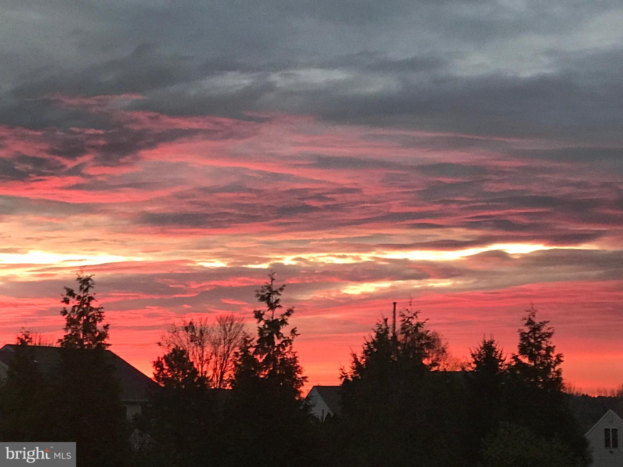 5382 Windtree Drive Doylestown, PA 18902 - Photo 56 of 58