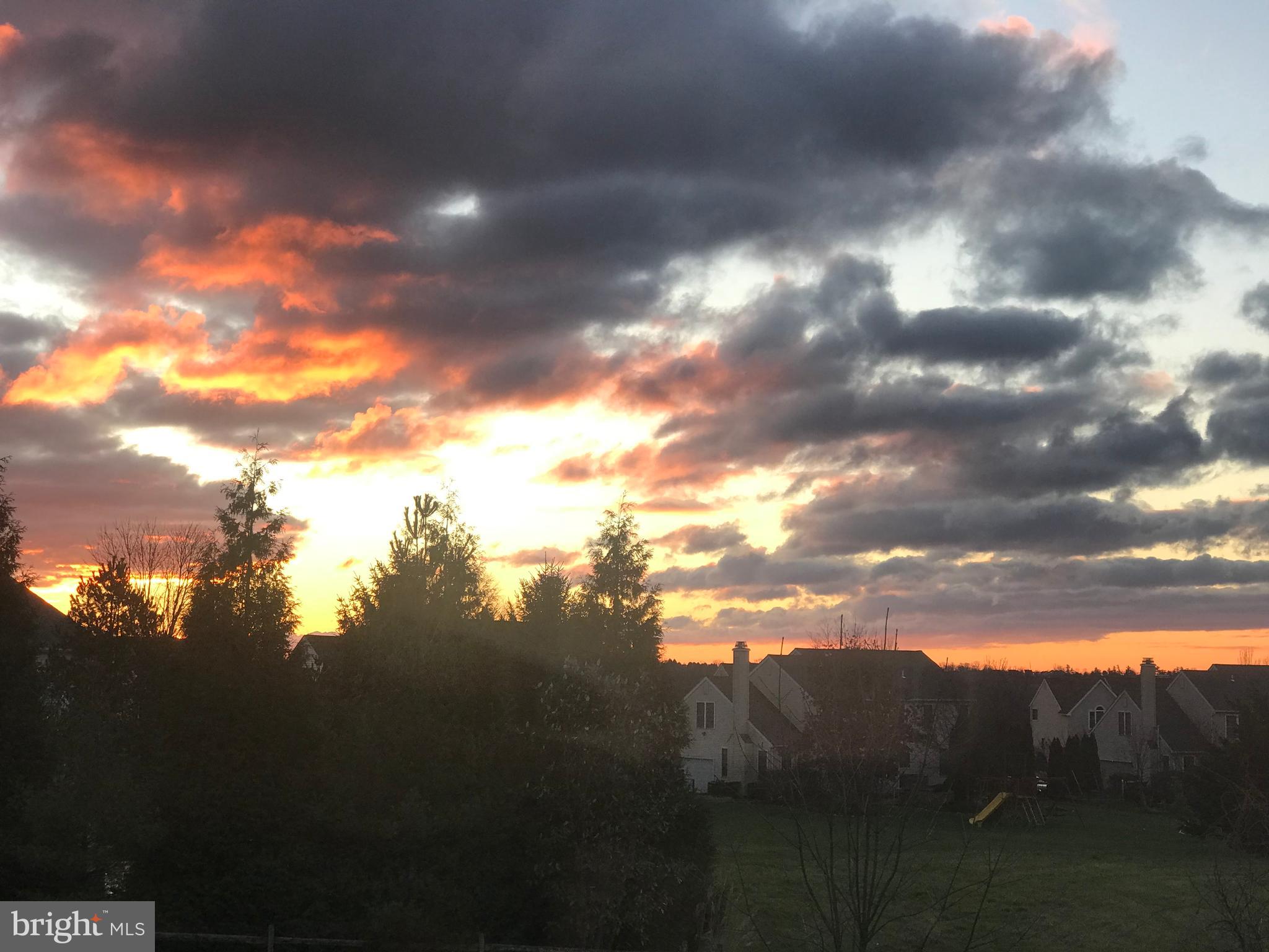 5382 Windtree Drive Doylestown, PA 18902 - Photo 57 of 58