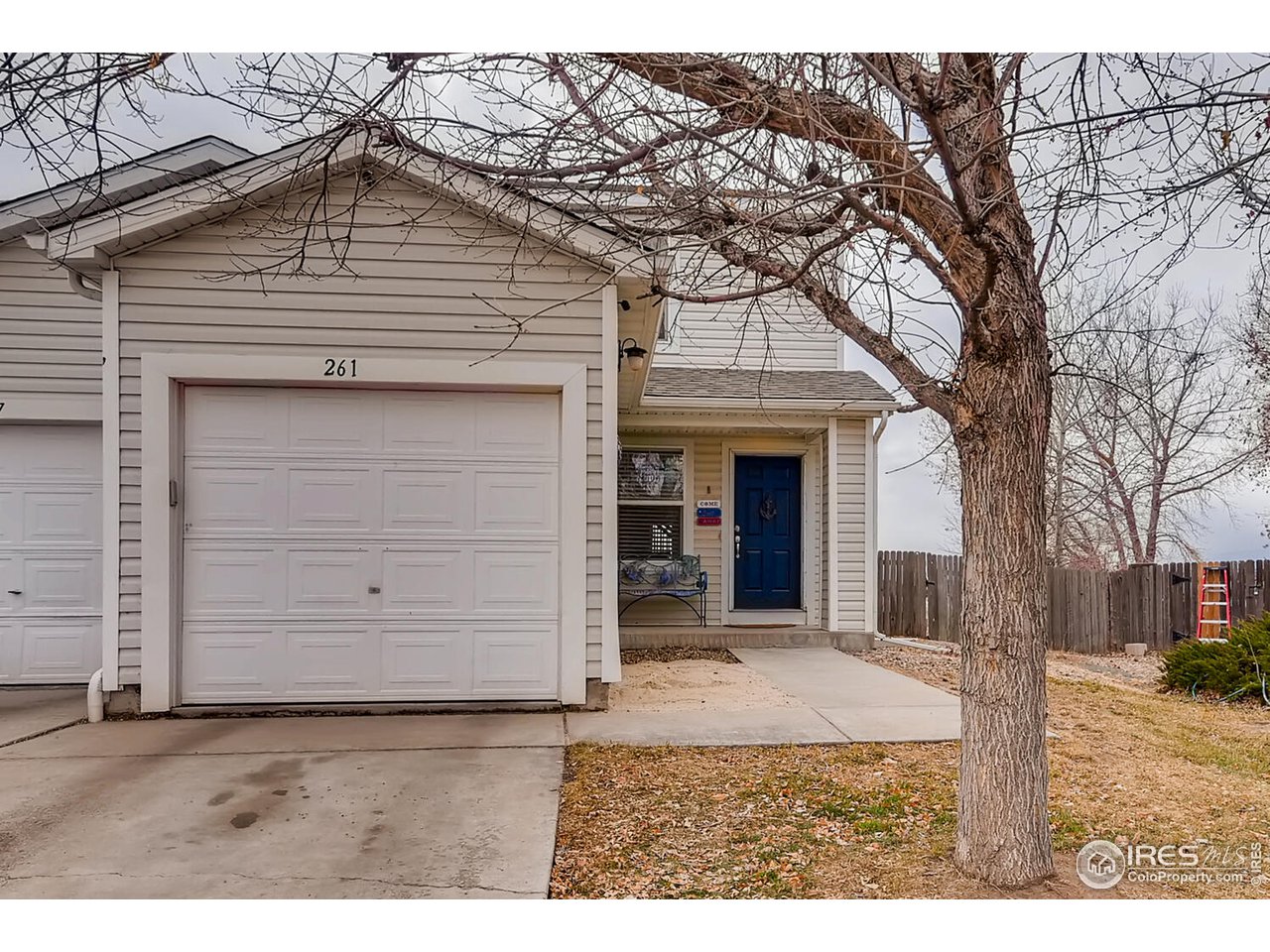 a view of a house with a large tree