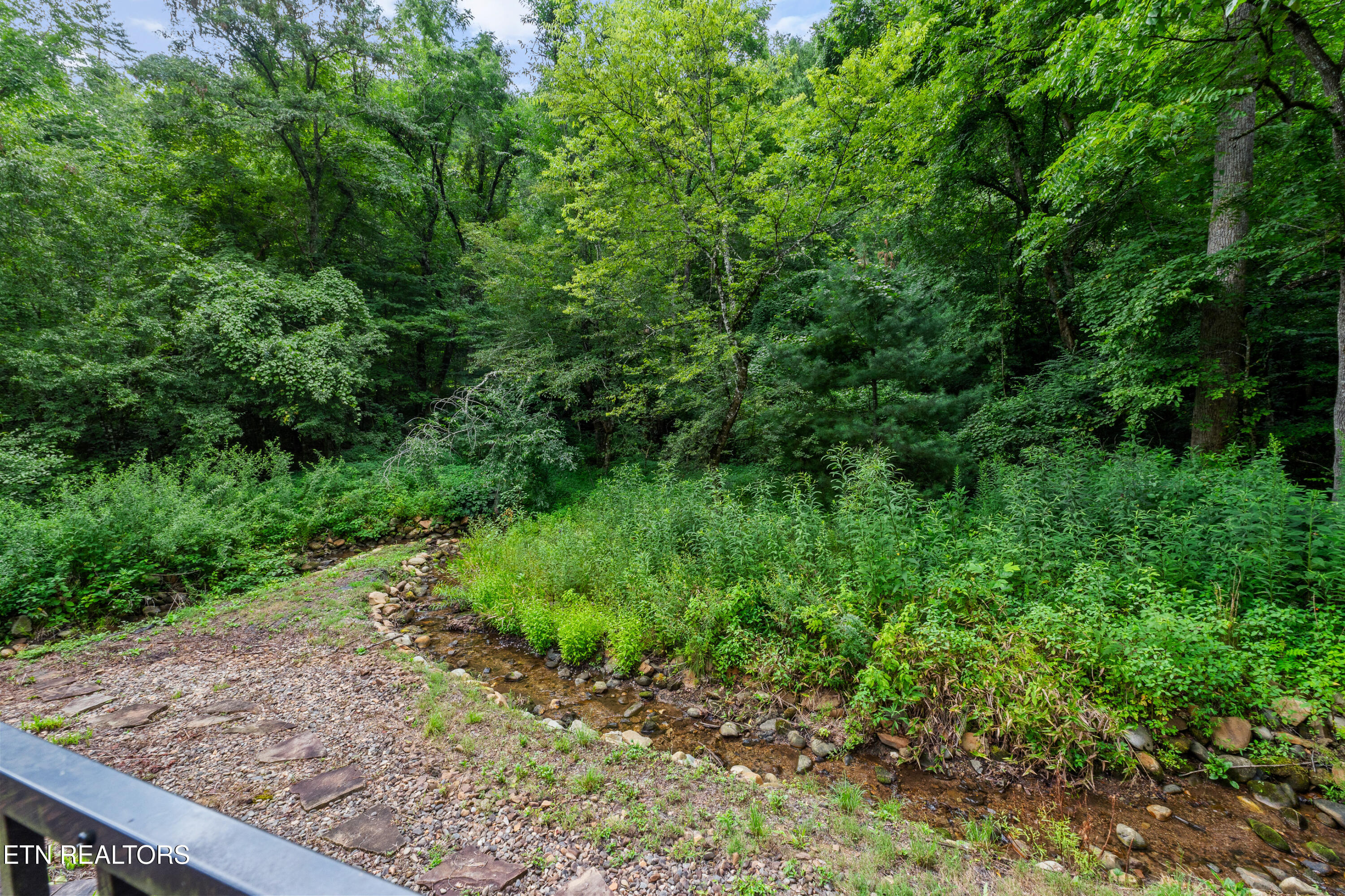 106 Sunshine Way Townsend, TN 37882 - Photo 48 of 55 DSC01082