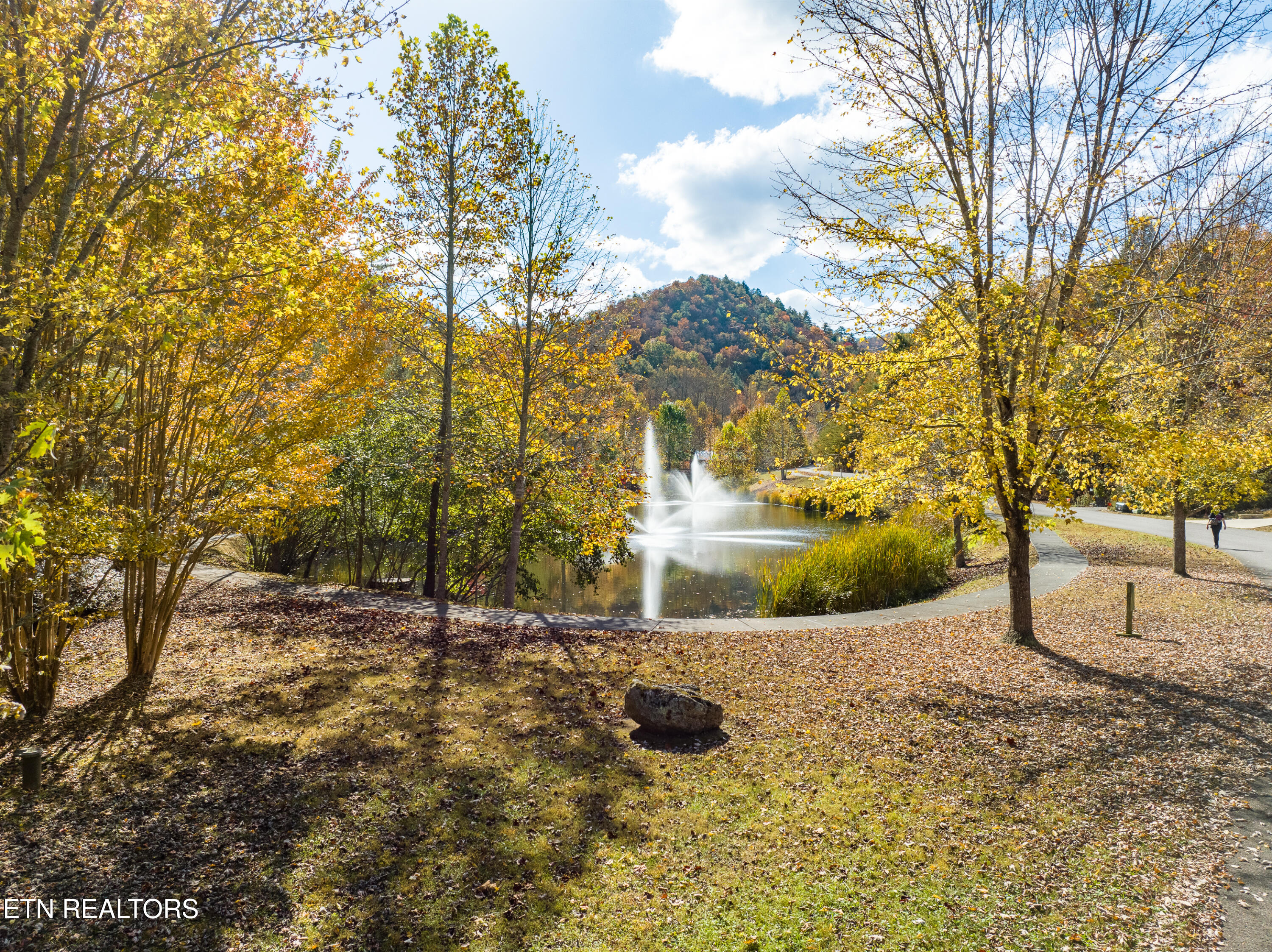 106 Sunshine Way Townsend, TN 37882 - Photo 51 of 55 DSC_3619-16